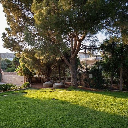 Apartamento Sounio Panoramic Loft Sounion Exterior foto